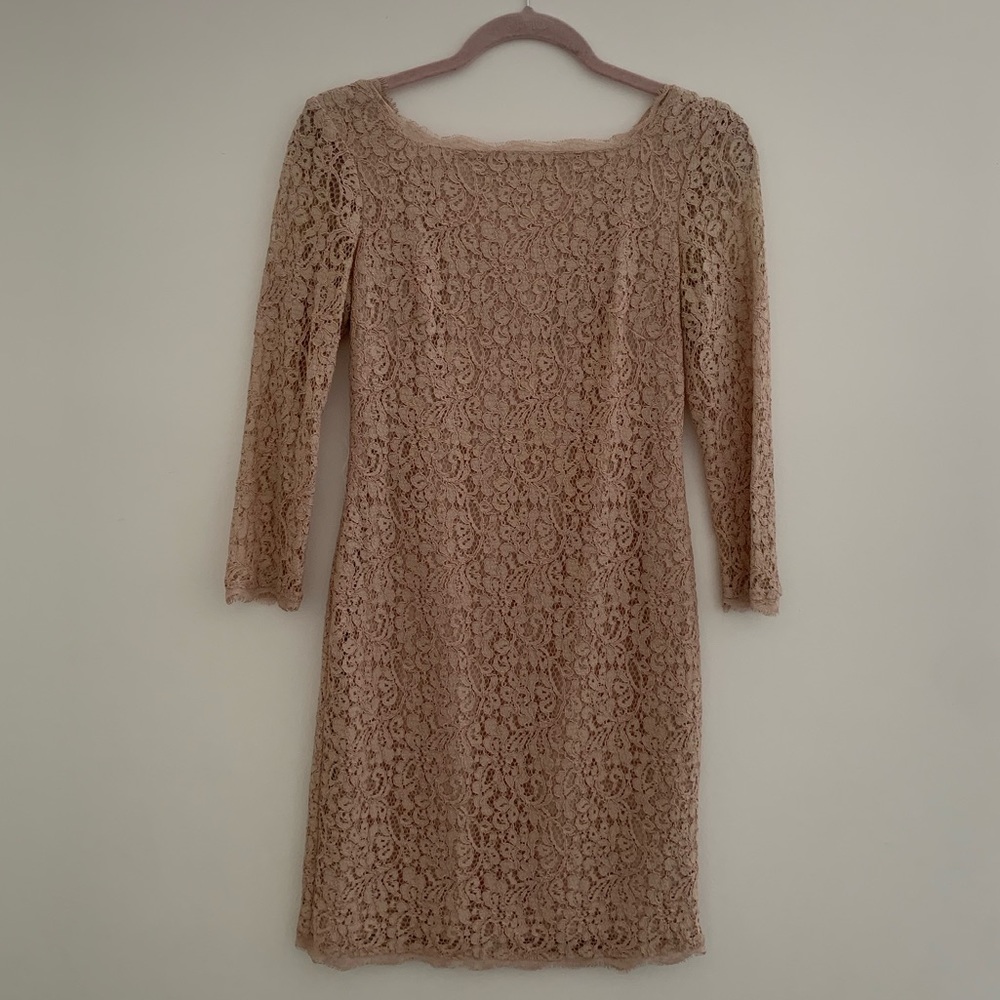 Adrianna Papell sz 4 blush pink lace dress